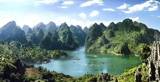 解惑蜗牛-主人出门7天,两只狗“拆家”!狗在拆家的时候到底是本能还是因为想拆家?蜗牛问答平台